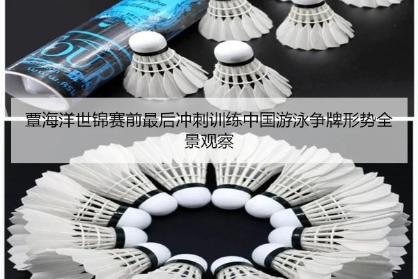 覃海洋世锦赛前最后冲刺训练中国游泳争牌形势全景观察